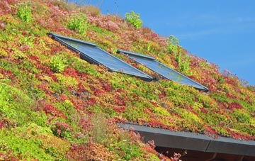 South Bersted living roof systems
