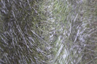 South Bersted fibreglass roof work